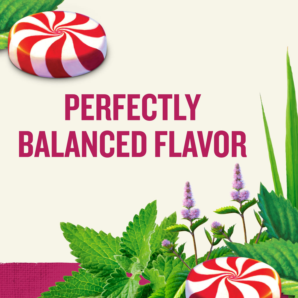 Celestial Seasonings Peppermint Caffeine-Free Herbal Tea Bags 1.7 oz 20 Count