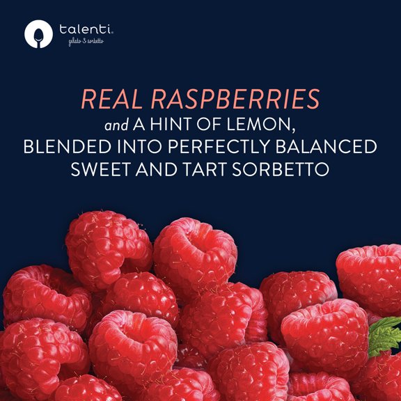 Talenti Dairy-Free Roman Raspberry Sorbet Frozen Dessert 16 Oz