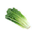 Fresh Romaine Lettuce Hearts 3 Count Each