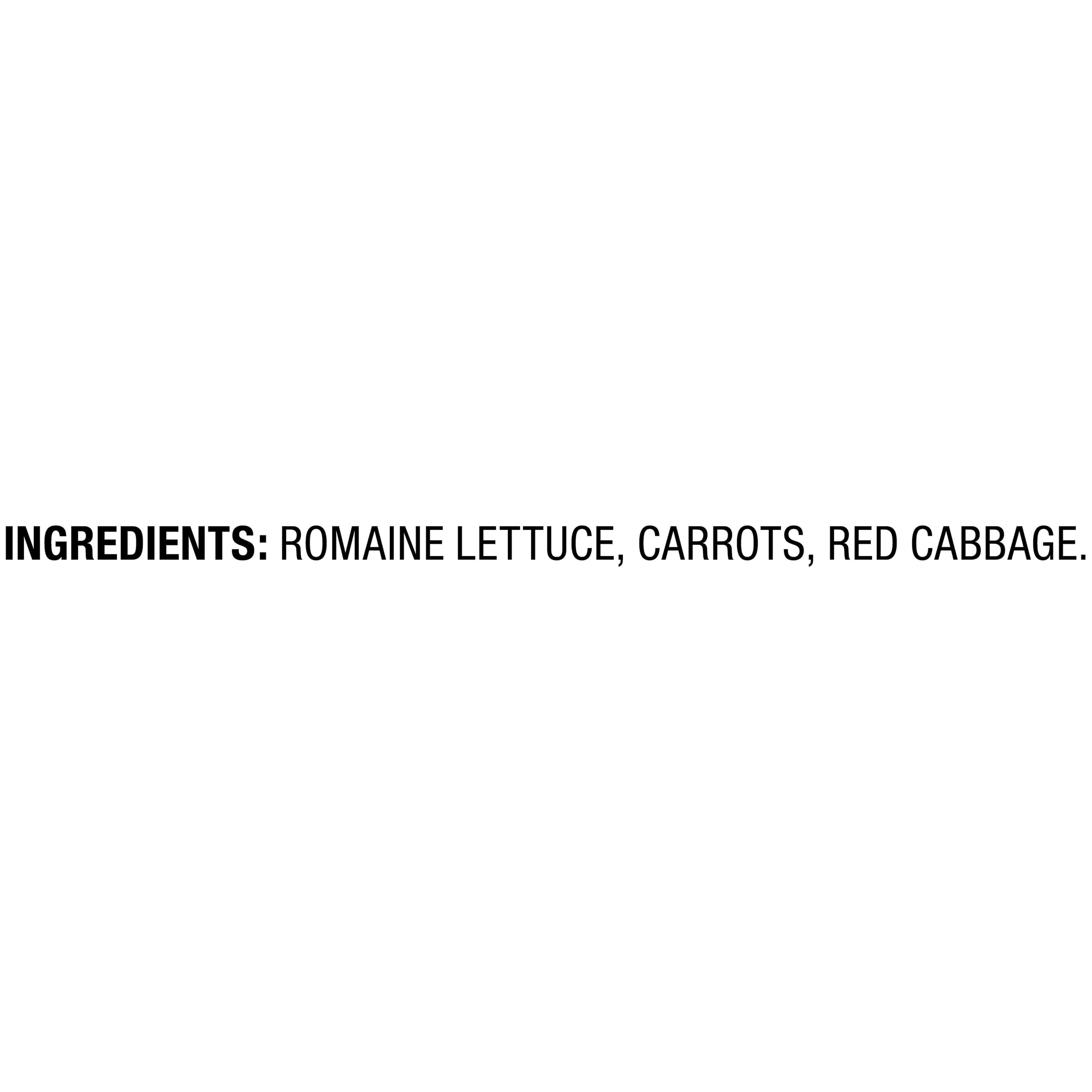 Fresh Marketside Premium Romaine Salad Blend 18 Oz Bag