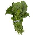 Turnip Greens 1 Bunch