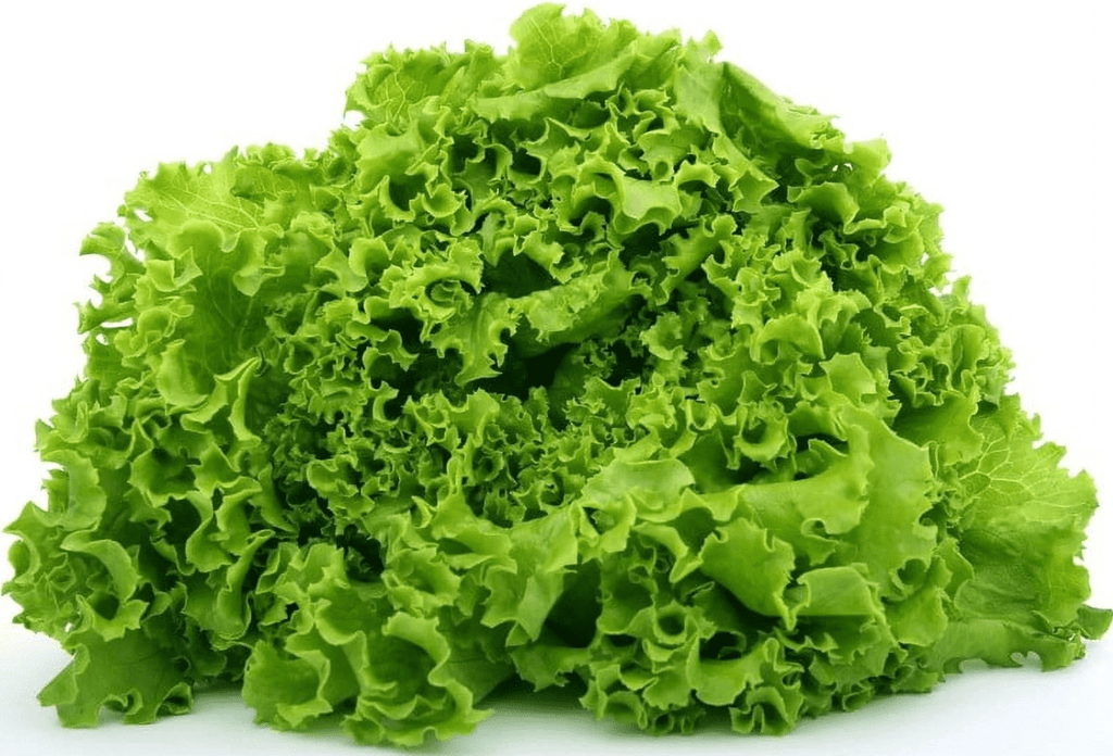 Fresh Green Leaf Lettuce Each