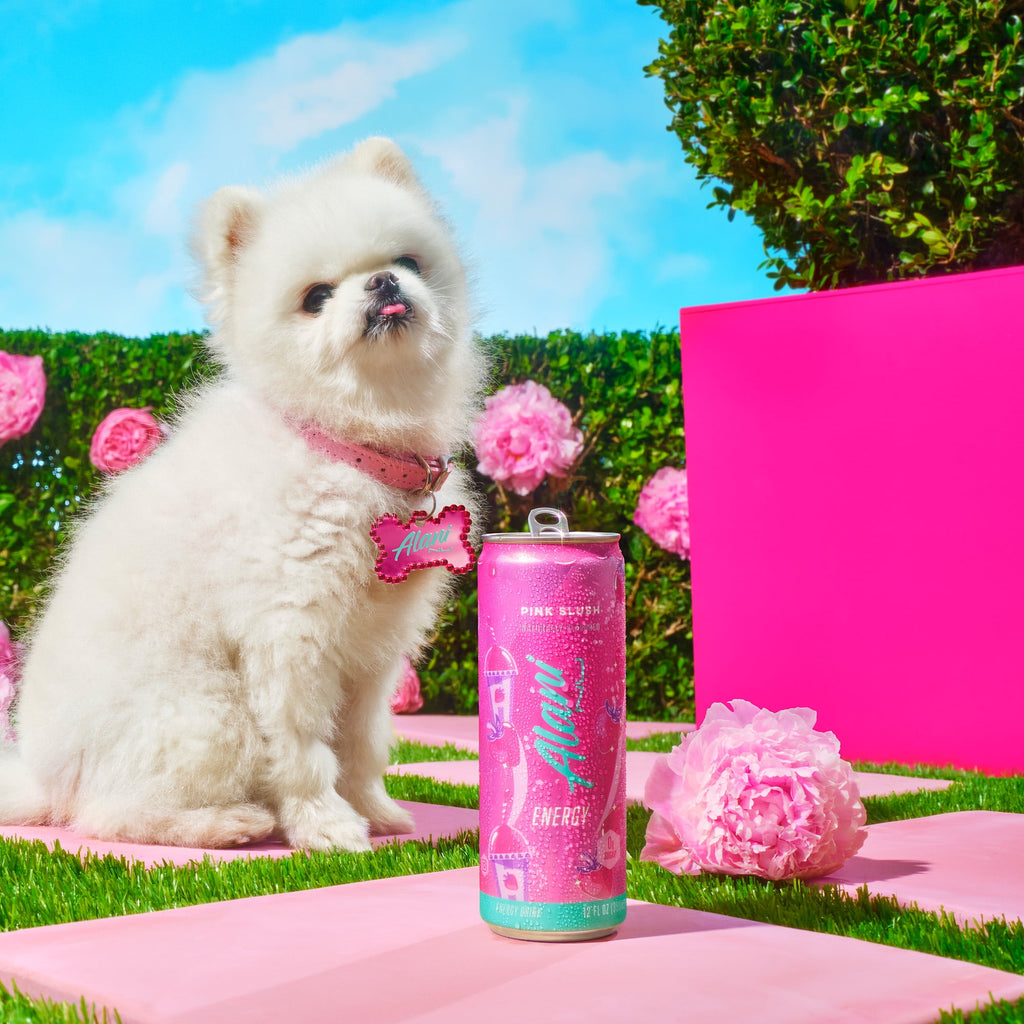 Alani Nu Pink Slush Energy Drink 12 fl oz Single Can