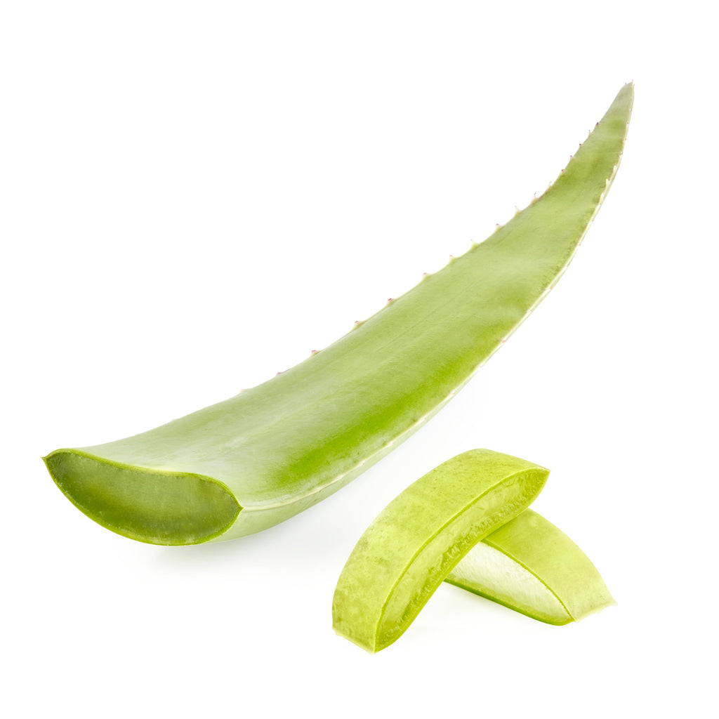 Fresh Aloe Leaf Each