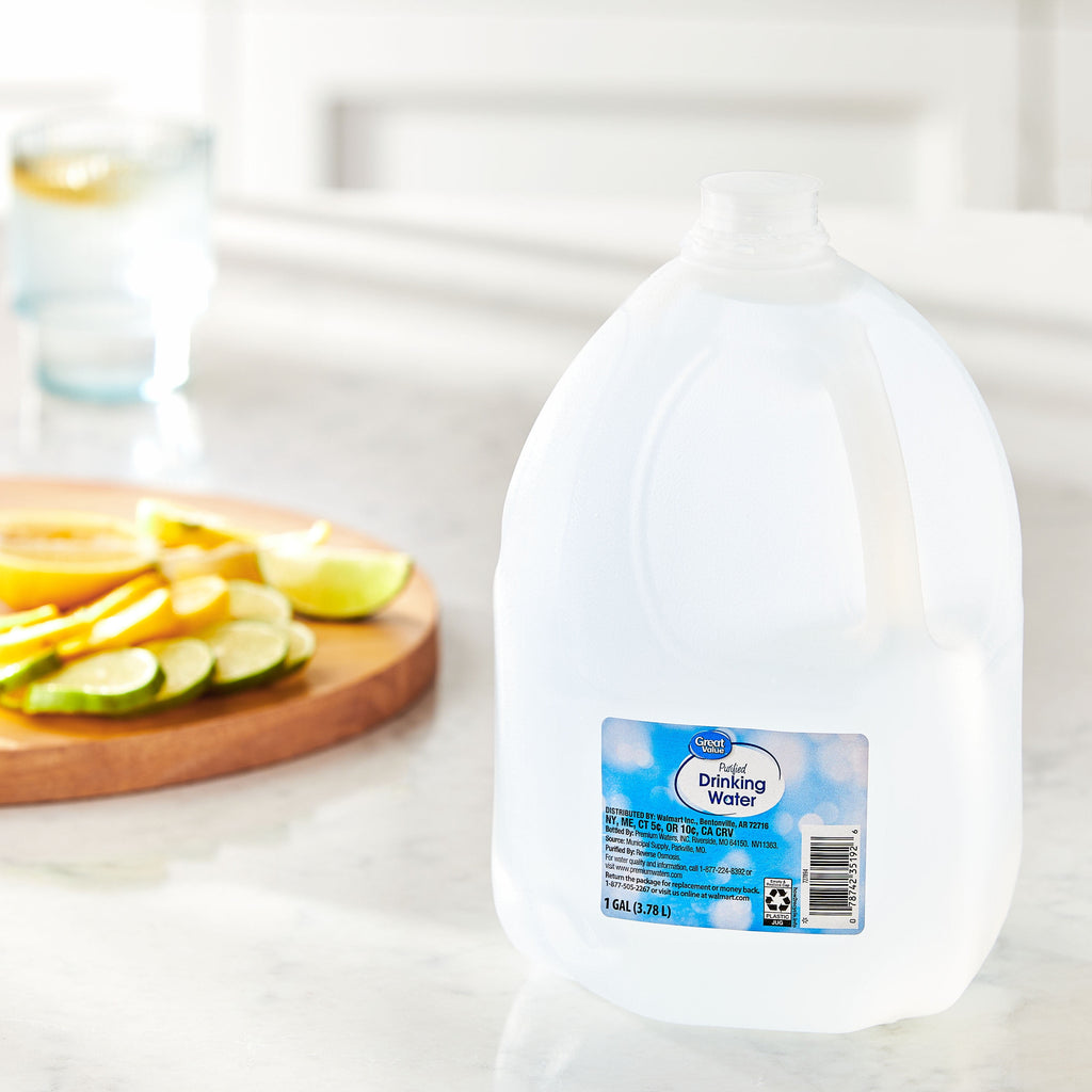 Great Value Purified Drinking Water 1 gal Single Jug