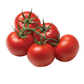 Wegmans Tomatoes On The Vine 1 Bunch