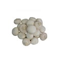 Fresh Whole White Mushrooms 16 Oz
