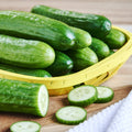 Fresh Mini Cucumbers 16 Oz Bag