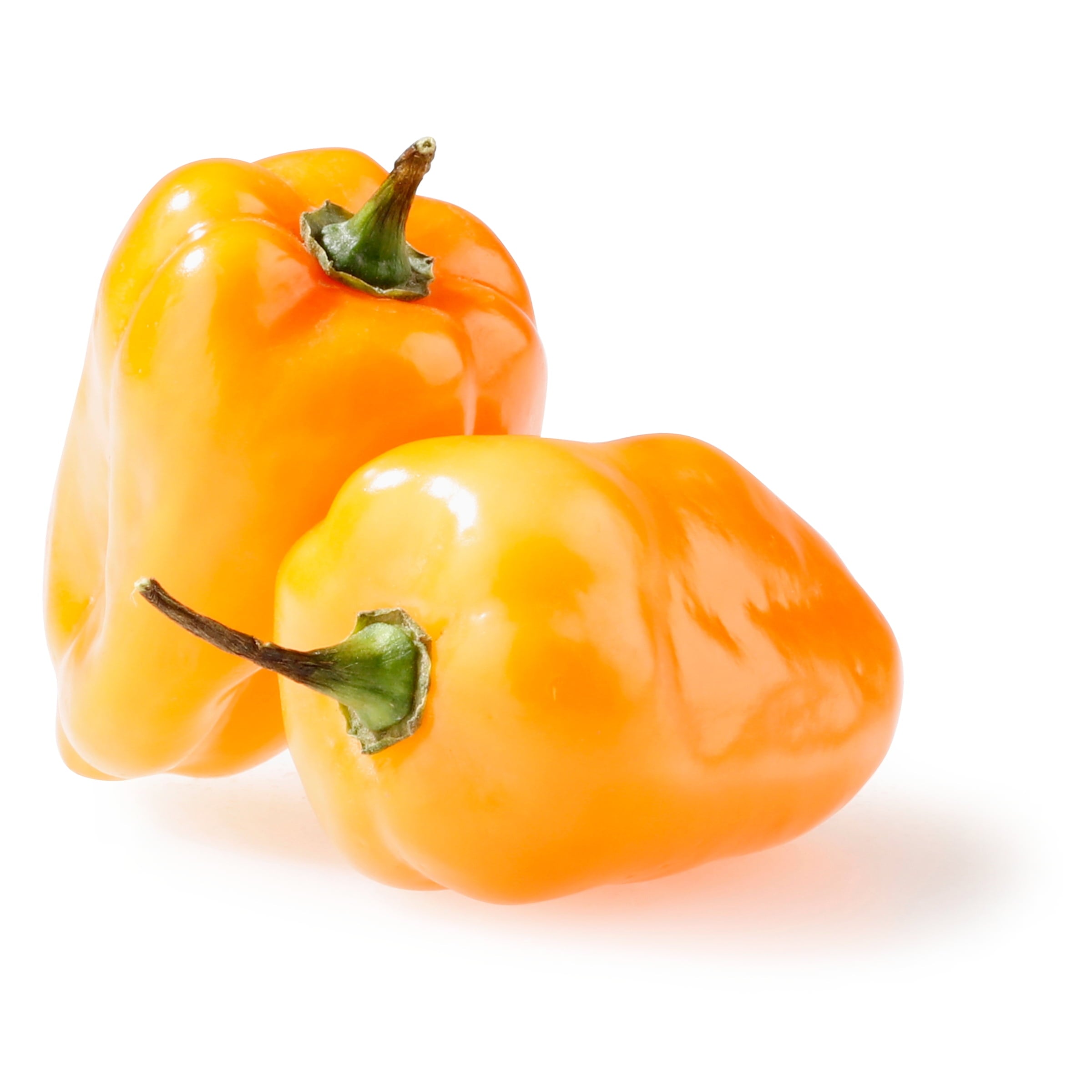 Fresh Orange Habanero Peppers 4 Oz Pack