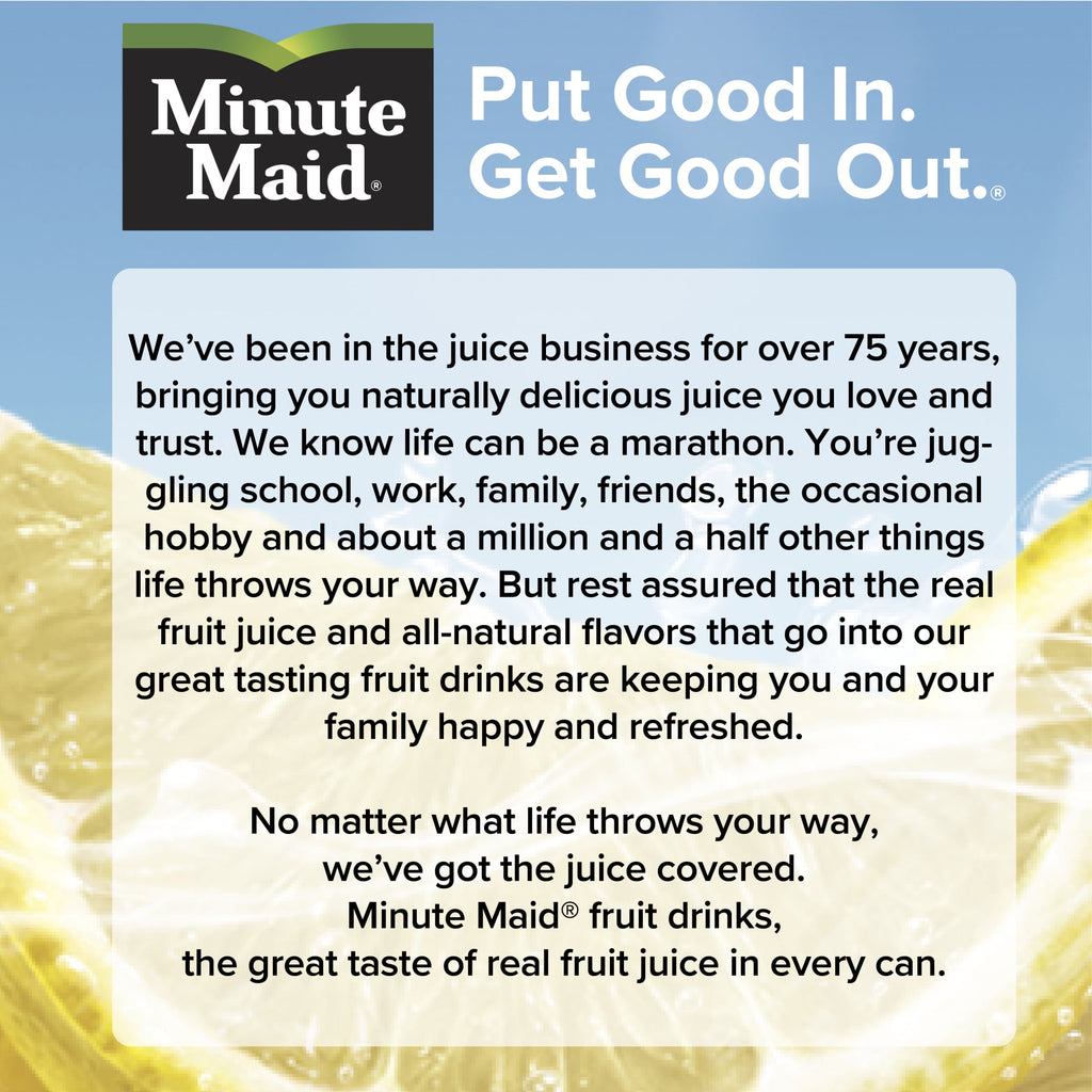Minute Maid Lemonade 16.9 fl oz Bottles 6 Pack