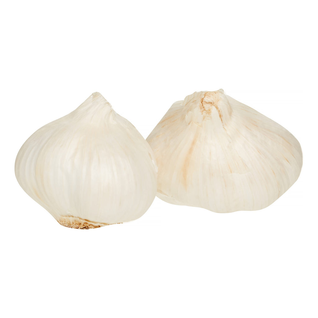 Fresh Garlic Sleeve 3 Count