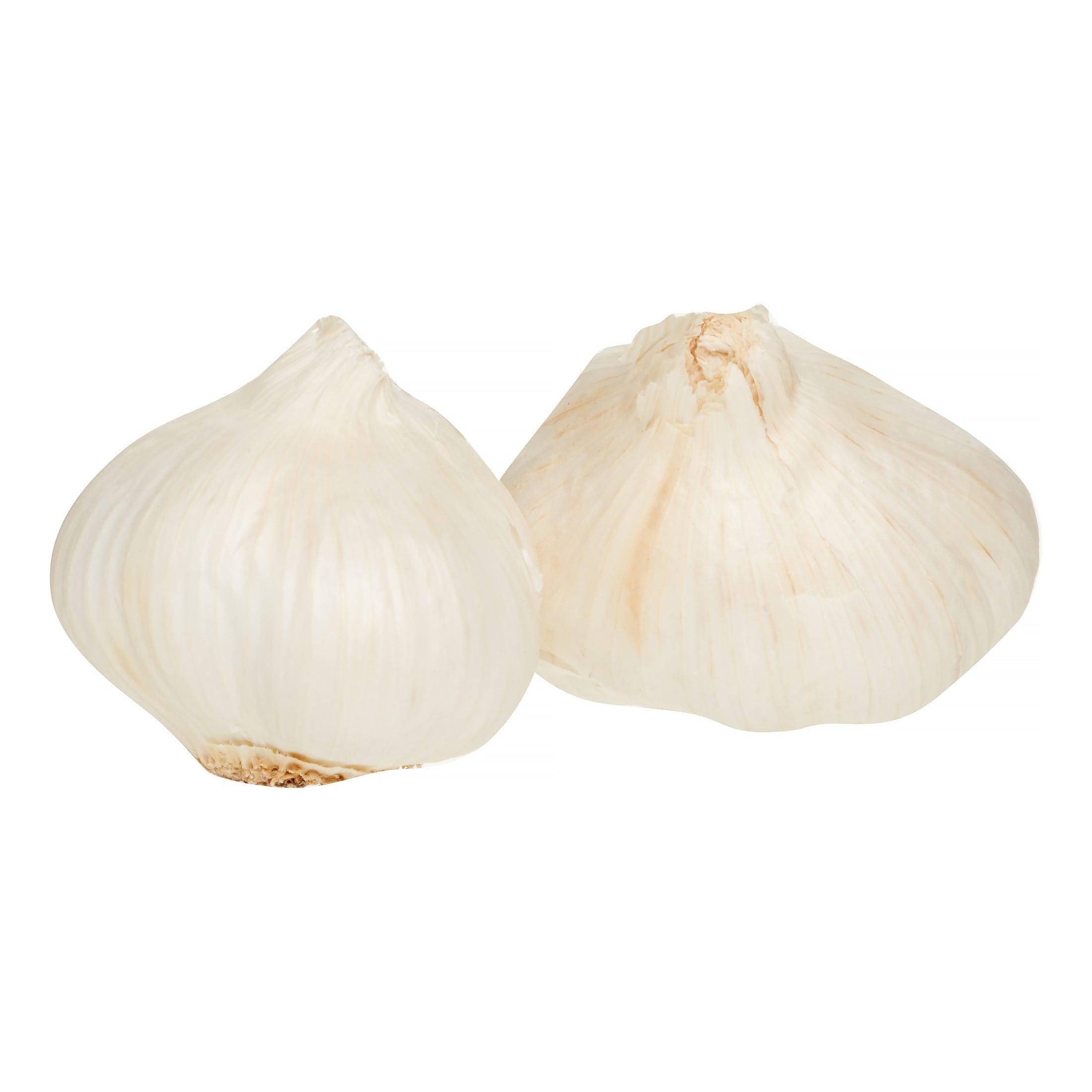 Fresh Garlic Sleeve 3 Count