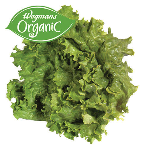 Wegmans Organic Green Leaf Lettuce 1 Head