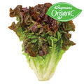 Wegmans Organic Red Leaf Lettuce 1 EA