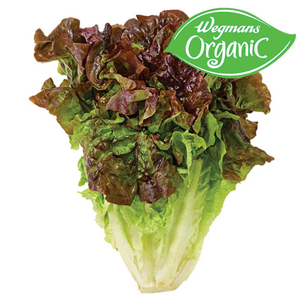 Wegmans Organic Red Leaf Lettuce 1 EA