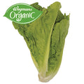 Wegmans Organic Romaine Lettuce 1 Head