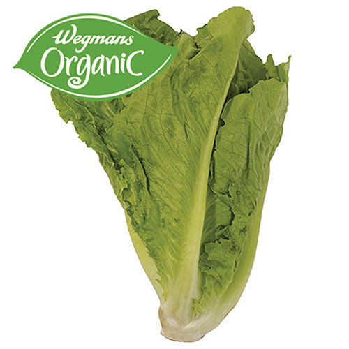 Wegmans Organic Romaine Lettuce 1 Head