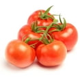 Fresh Tomatoes On The Vine 1.9 Lb Bag