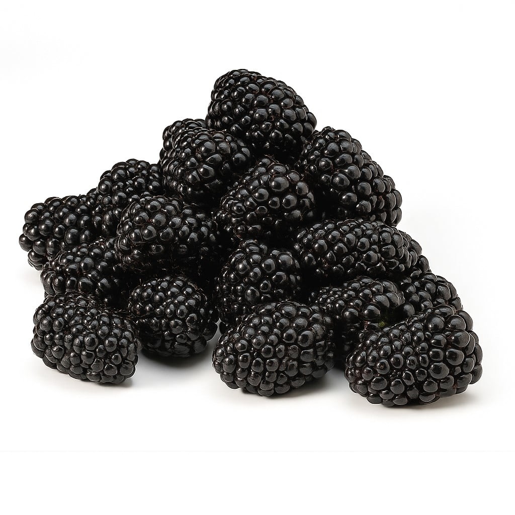 Fresh Blackberries 12 Oz Container