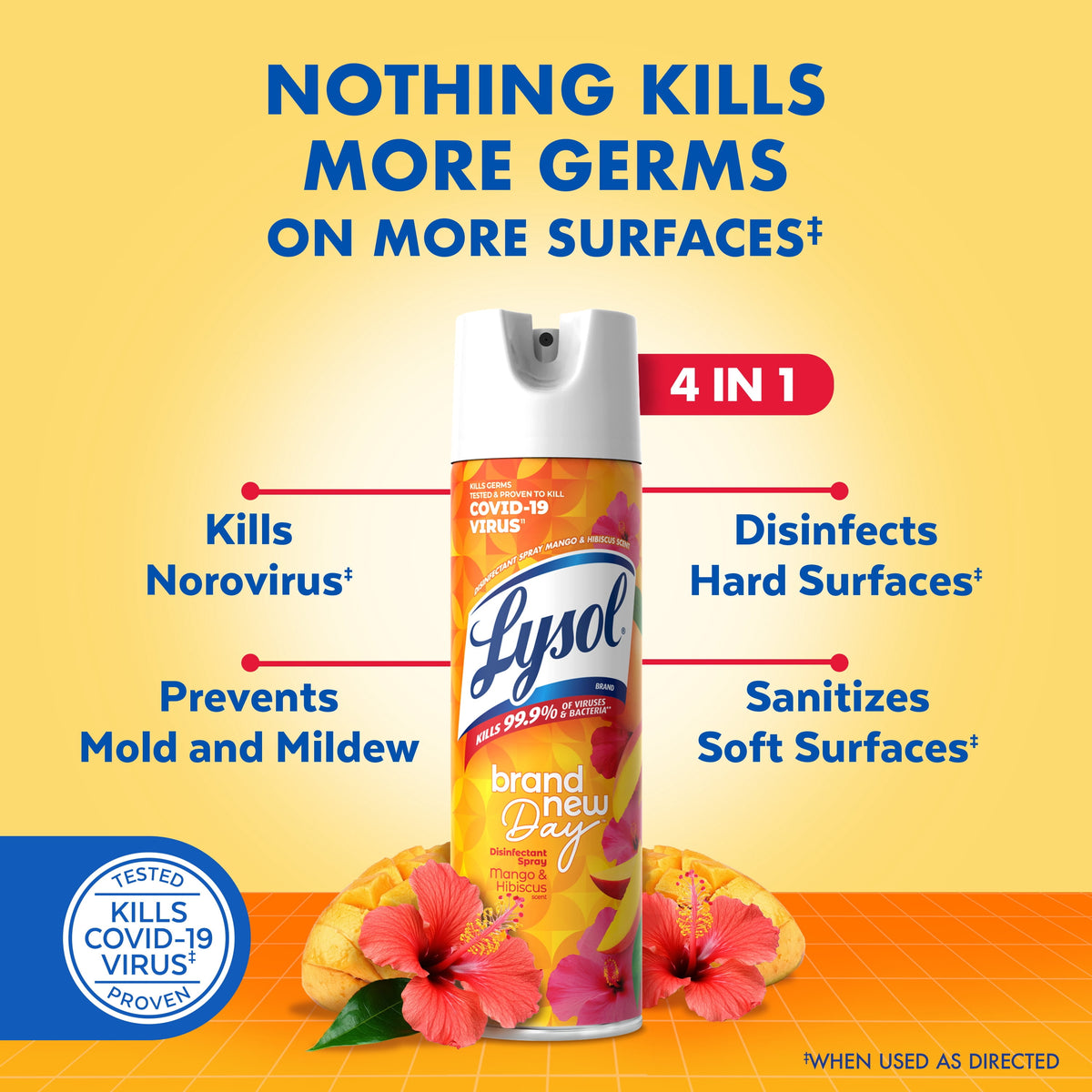 Lysol Brand New Day Disinfectant Spray Mango & Hibiscus 19 oz