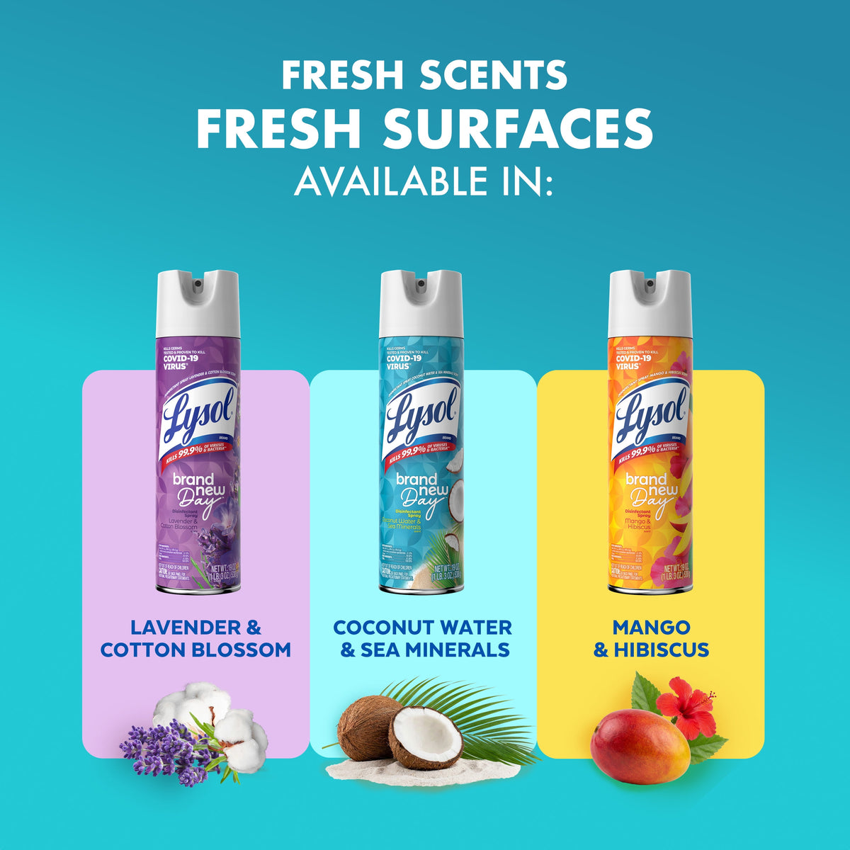 Lysol Disinfectant Spray Coconut Water & Sea Minerals 19 oz