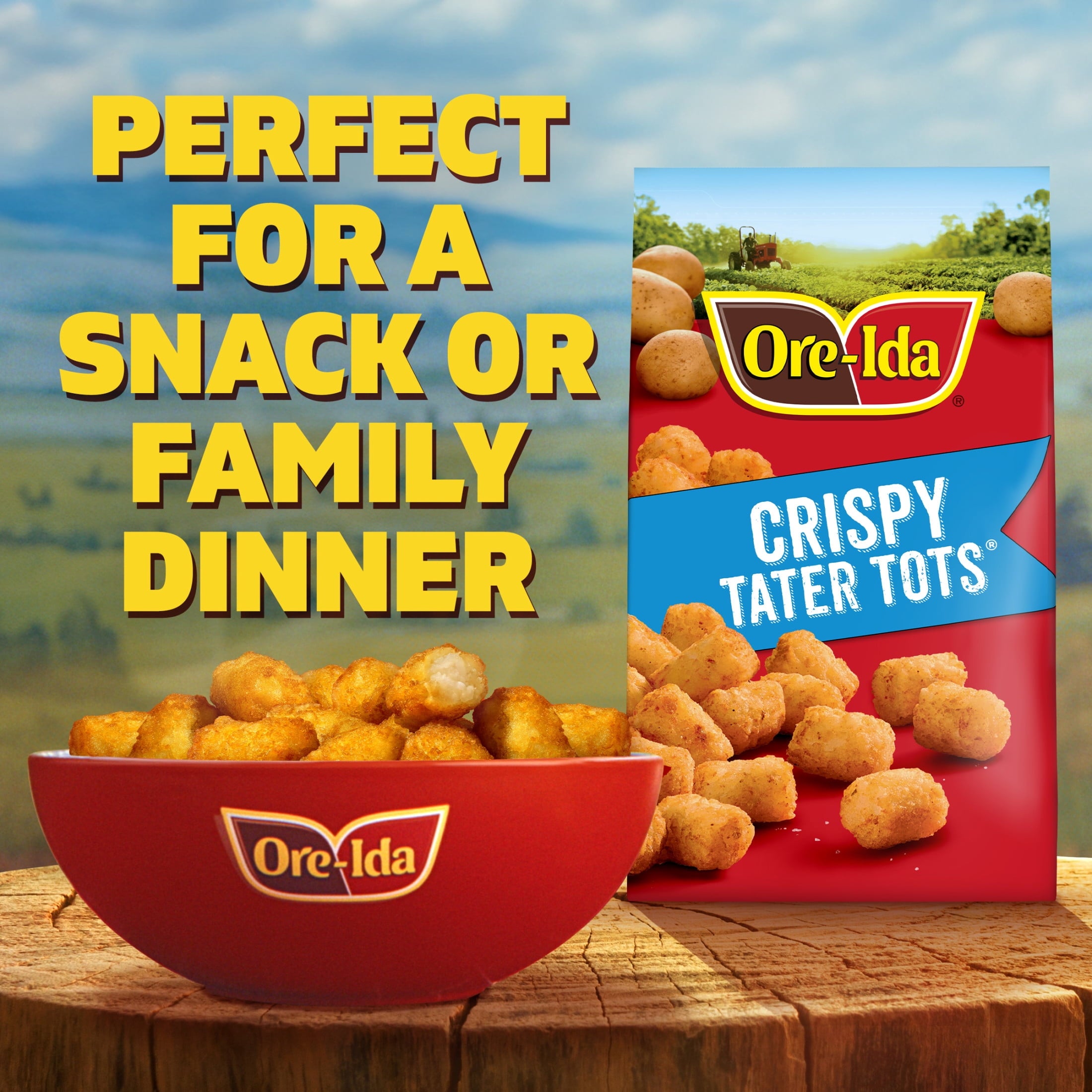 Ore-Ida Crispy Tater Tots Seasoned Shredded Frozen Potatoes 32 Oz