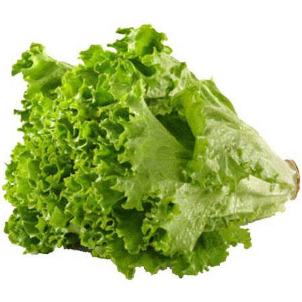 Fresh Green Leaf Lettuce Each