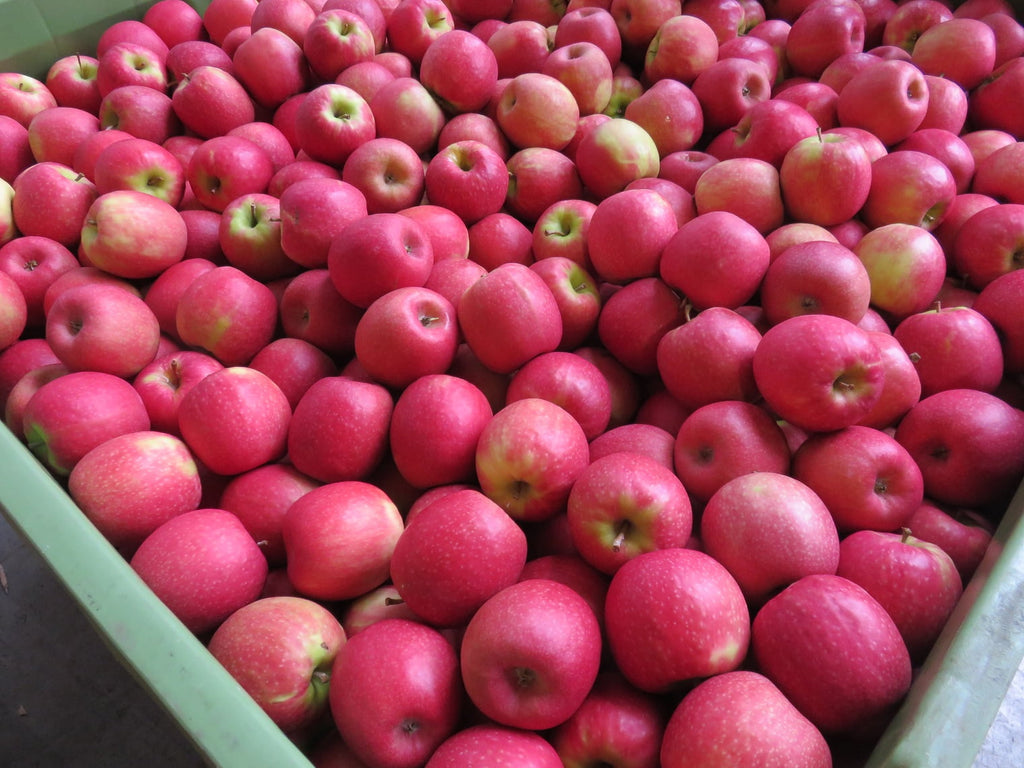 Marketside Organic Pink Lady Apples 2 Lb Pouch