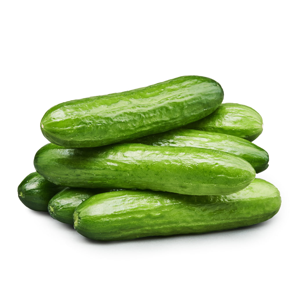 Fresh Mini Cucumbers 16 Oz Bag