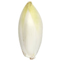 Wegmans White Belgian Endive 1 Bunch