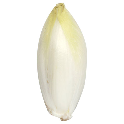Wegmans White Belgian Endive 1 Bunch