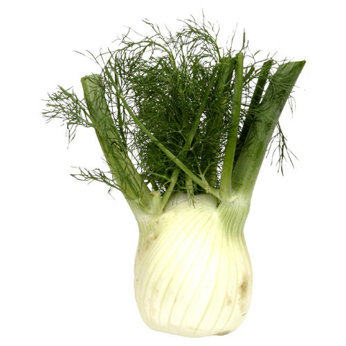 Wegmans Fennel Anise 1 Head