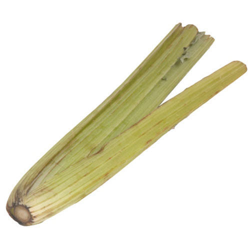 Cardone 1 Bunch
