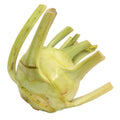 Green Kohlrabi 1 Bunch
