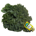 Kale 1 Bunch