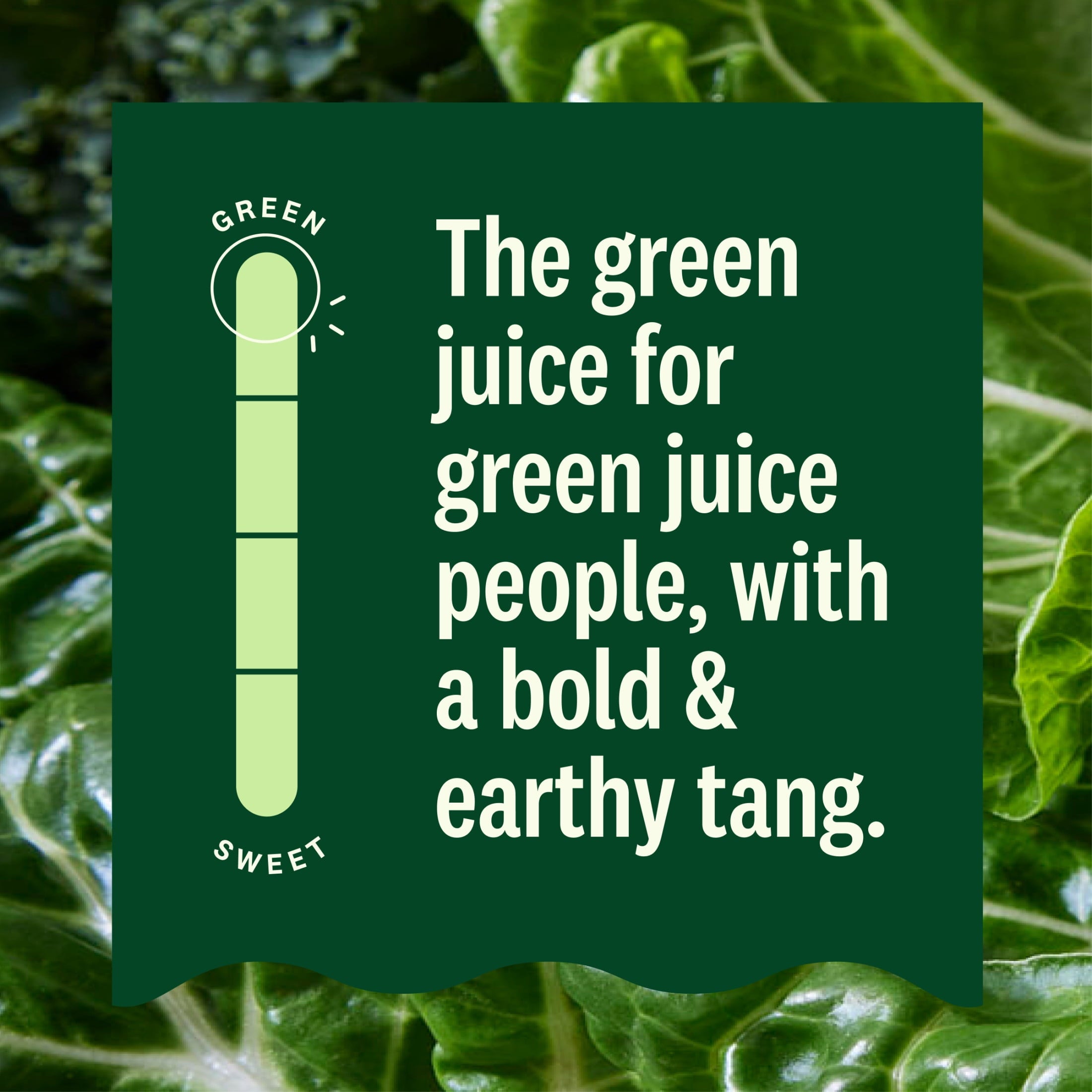 Suja Organic Uber Greens Cold Pressed Juice Drink 13.5 fl oz Bottle