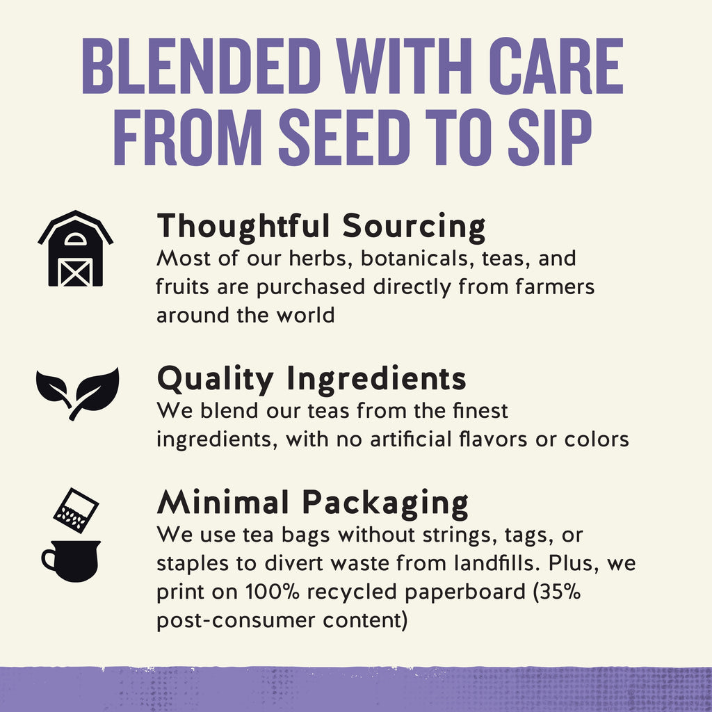 Celestial Seasonings Sleepytime Wellness Sinus Soother Caffeine-Free Herbal Tea Bags 1.2 oz 20 Count