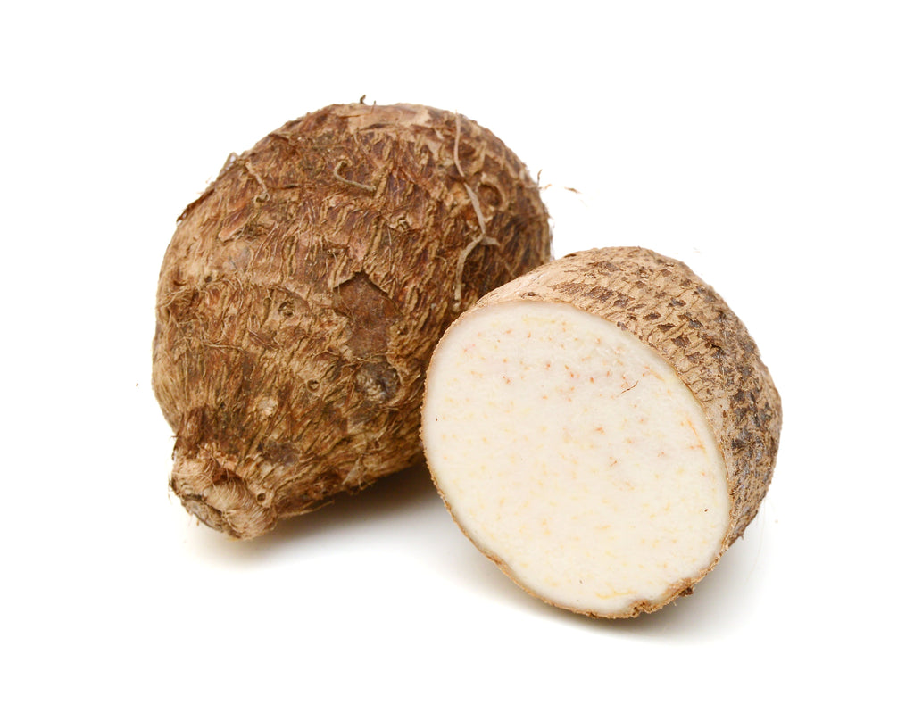 Malanga Root Whole Fresh Each