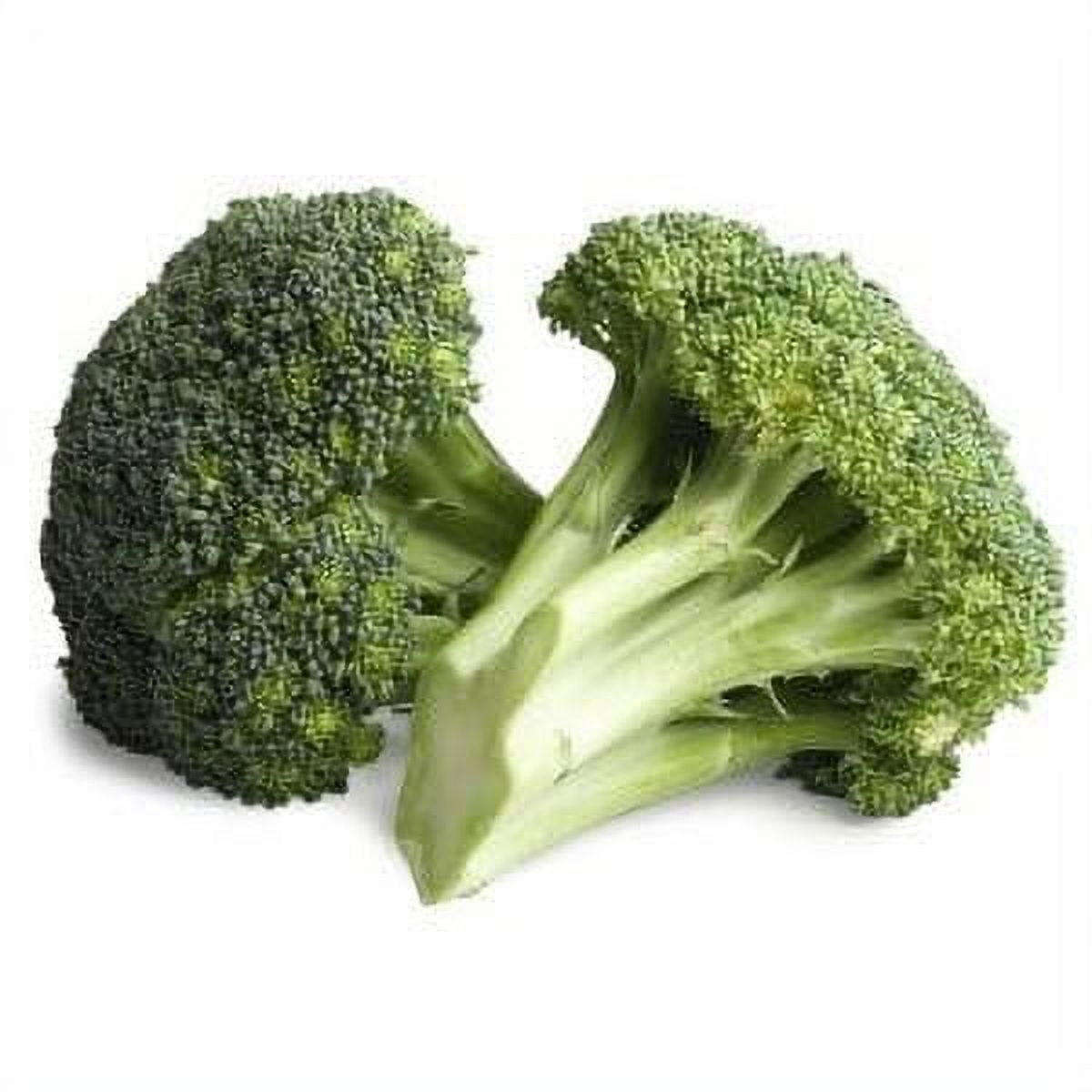 Fresh Whole Green Broccoli Crowns 1 Each