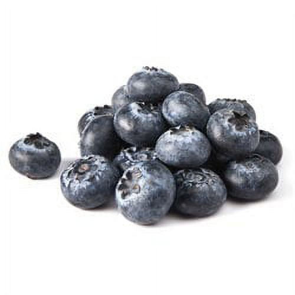 Fresh Blueberries 18 Oz Container