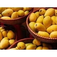 Fresh Organic Mangoes 3 Lb Bag