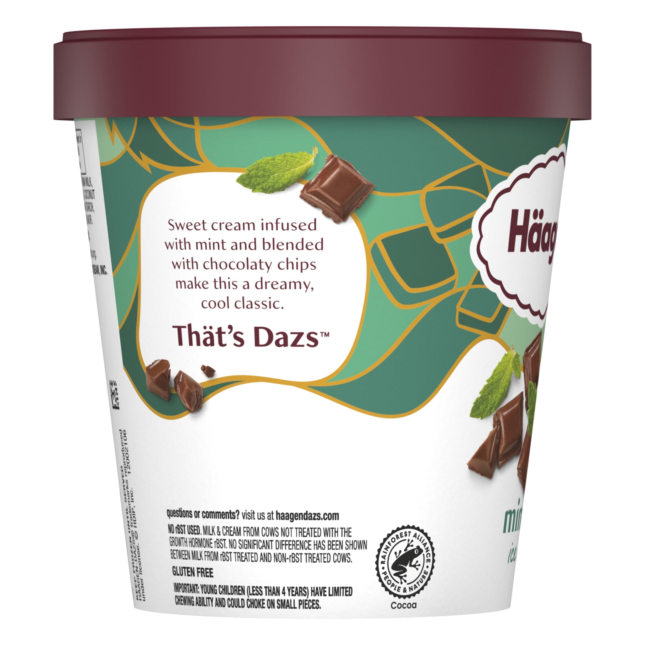 Haagen Dazs Mint Chip Ice Cream 14 Fl Oz Tub