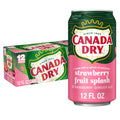Canada Dry Caffeine Free Fruit Splash Strawberry Ginger Ale Soda Pop Cans 12 Fl Oz 12 Pack