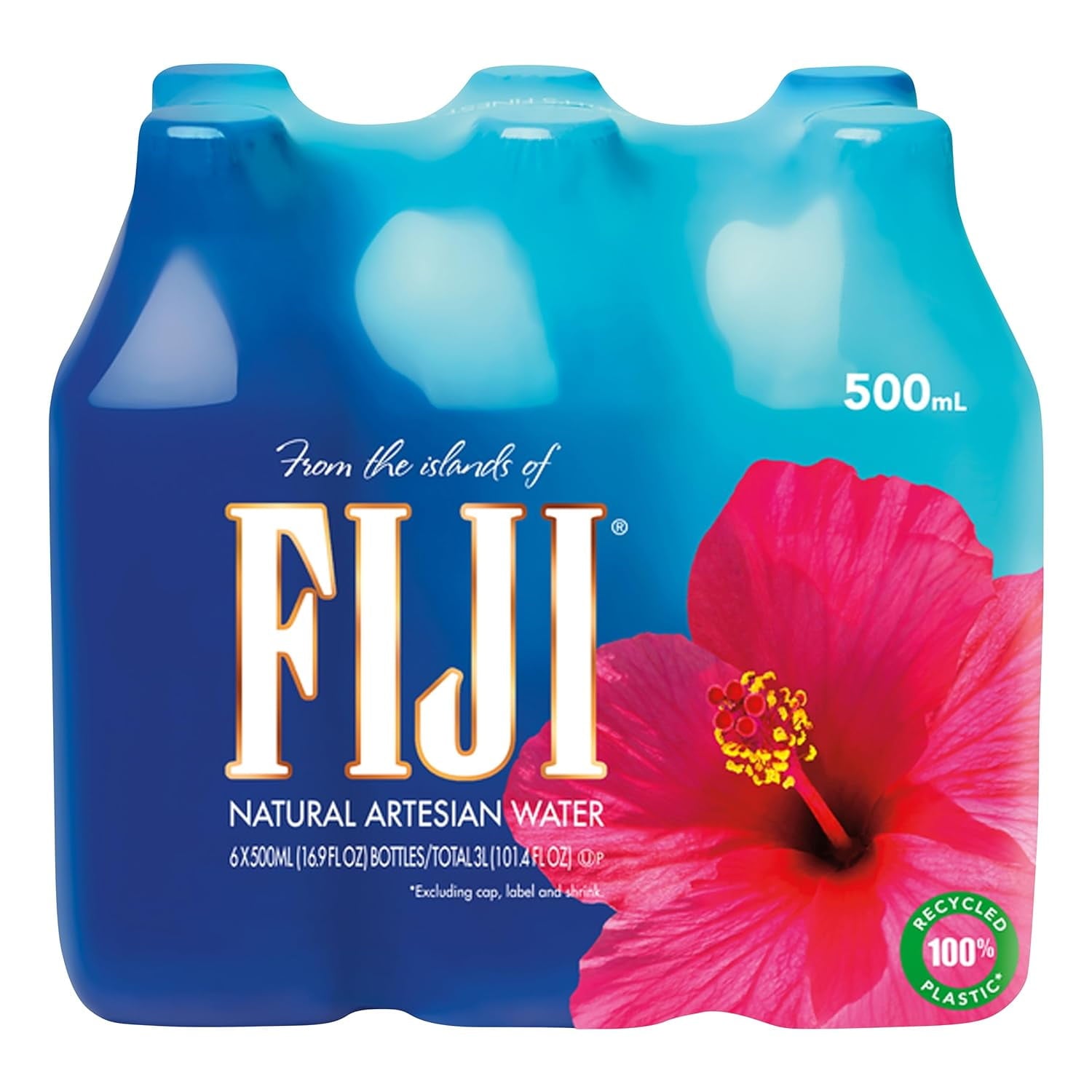 FIJI Natural Artesian Water 16.9 fl oz Plastic Bottles 6 Pack