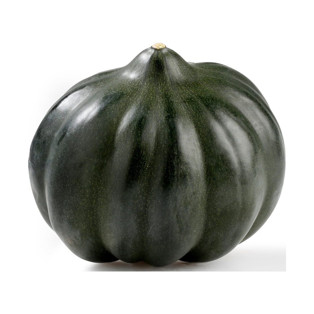 Fresh Acorn Squash Each