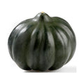 Fresh Acorn Squash Each