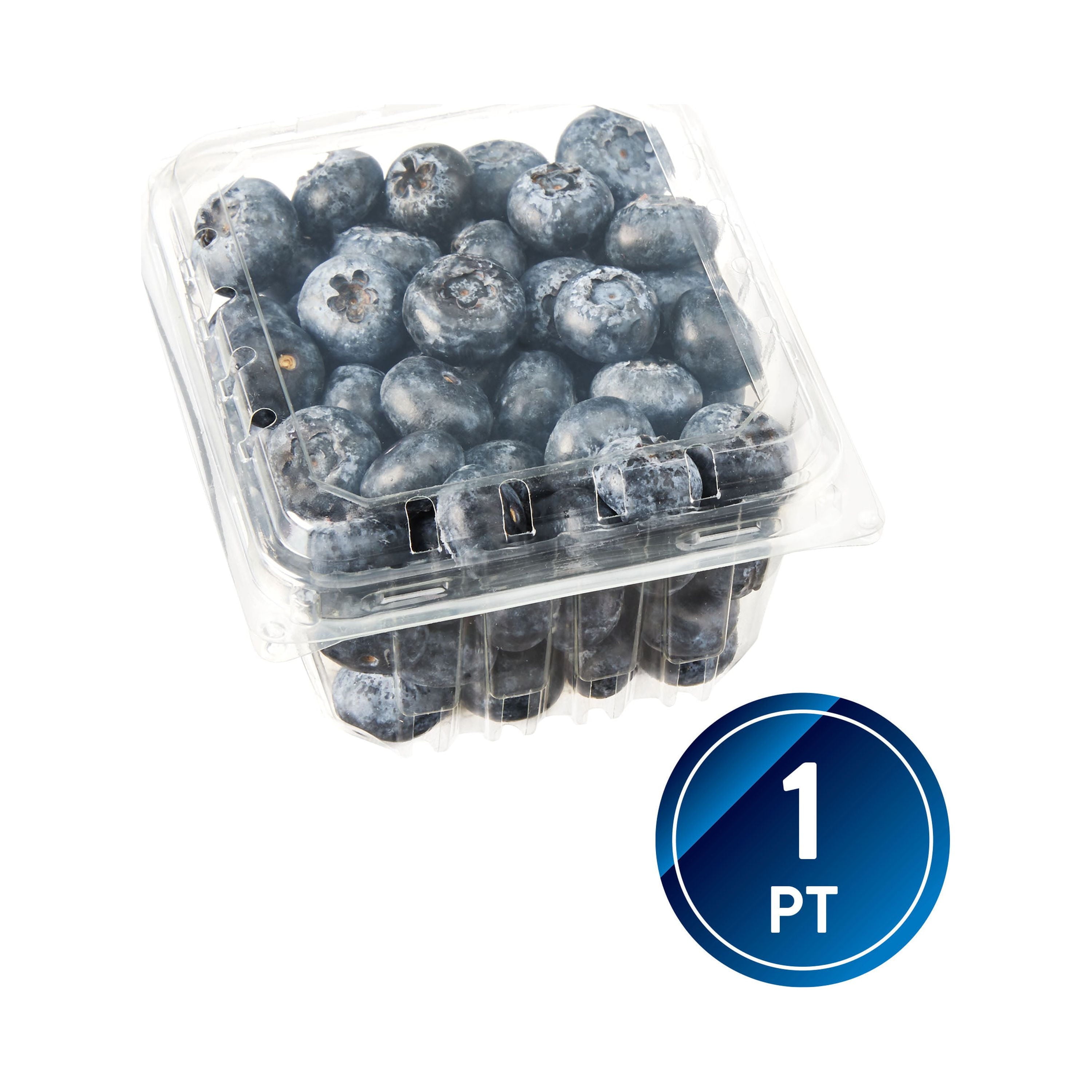 Fresh Blueberries 1 Pint Container 11 Oz