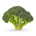 Fresh Whole Green Broccoli Crowns 1 Each