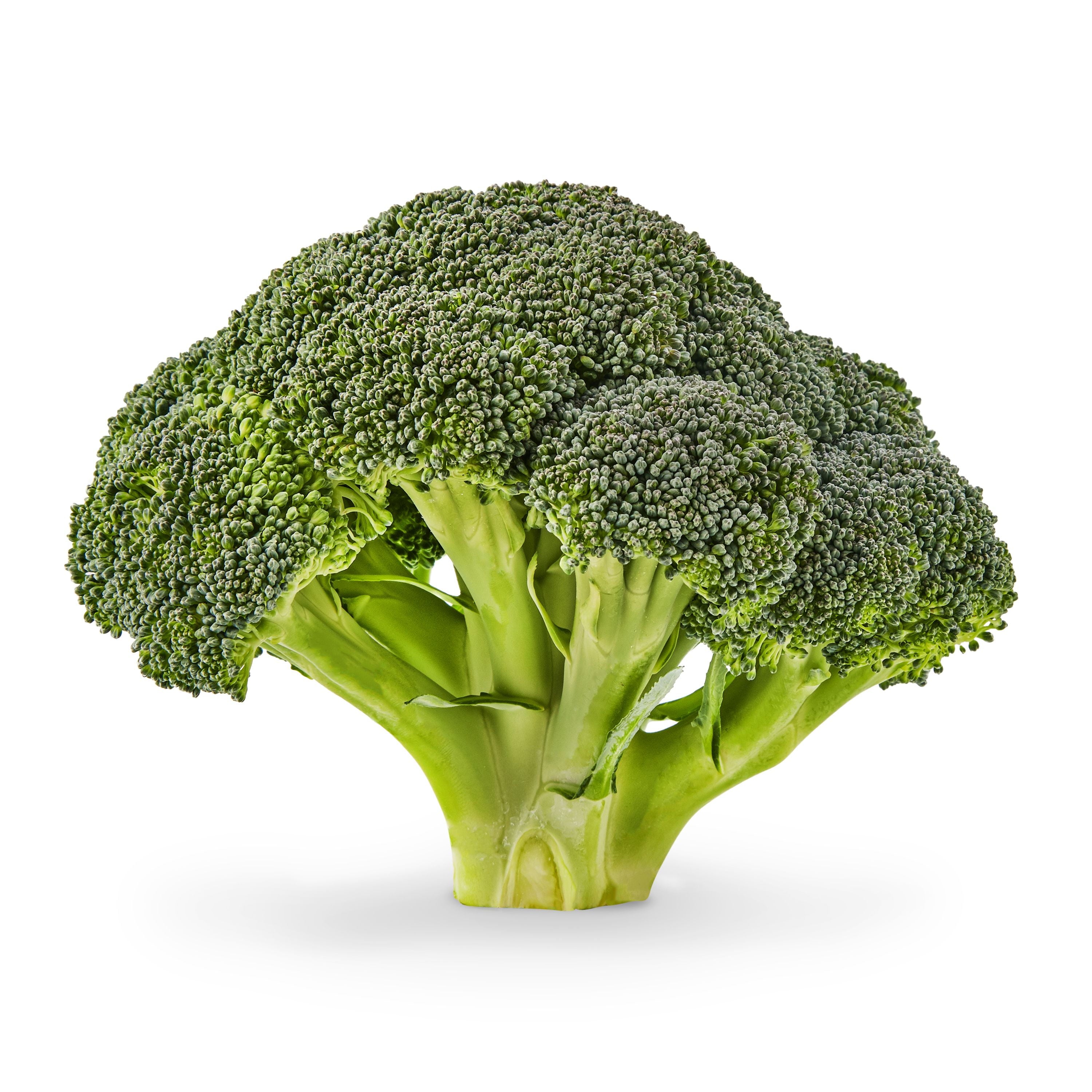 Fresh Whole Green Broccoli Crowns 1 Each