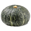 Fresh Buttercup Squash Each